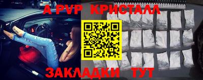 шишки Новокубанск