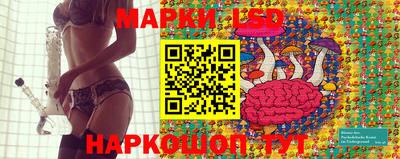 a pvp Новодвинск