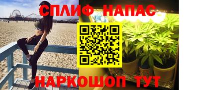 шишки Новокубанск