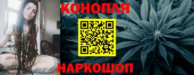 шишки Новокубанск