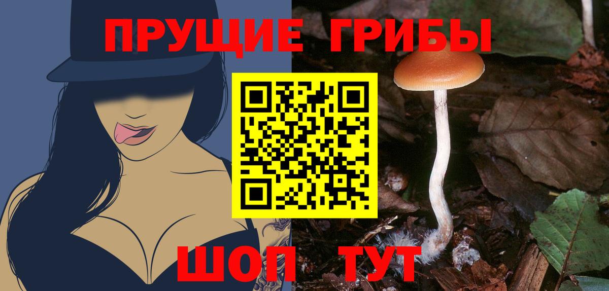 Псилоцибиновые грибы мицелий Дятьково